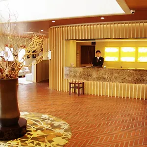 Hakone Lake Hotel *** Hakone